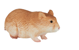 MOJO hamster