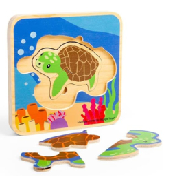 Levenscyclus schildpad