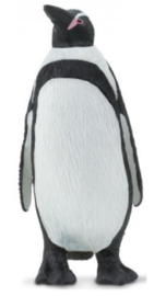 Humboldt pinguin SA