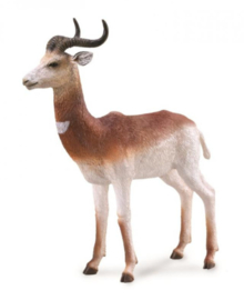 Dama gazelle Collecta 88865