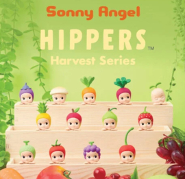 Sonny Angels Hippers Harvest