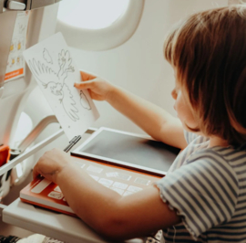 Kidydraw mini - Dieren