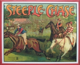 Steeple chase 2890