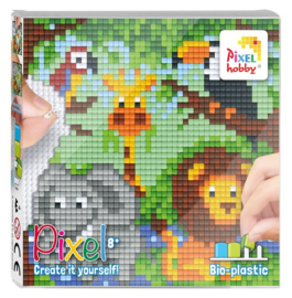 Pixel set