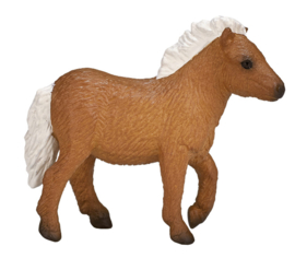 MOJO Shetland pony veulen