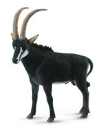 sabelantilope Collecta stier 88564