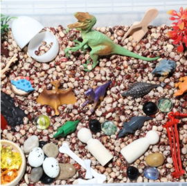 Sensory box dino's bonen