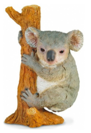 Koala klimmend Collecta 88356