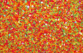 Speelrijst fruit
