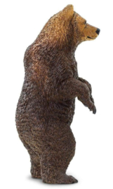 Grizzly beer staand