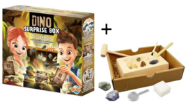 43. Dino surprise box + uitgraven mineralen