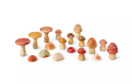 GRAPAT mushroom grove