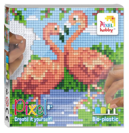 Pixel set