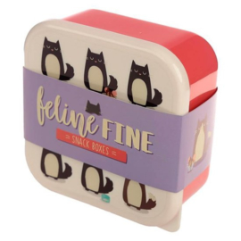 Puckator Feline fine LBOX17