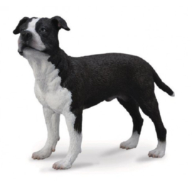 Amerikaanse Staffordshire terrier Collecta 88610