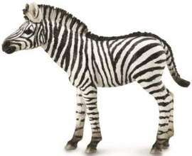 common zebra veulen Collecta 88850