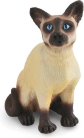 Siamese kat zittend CO88331