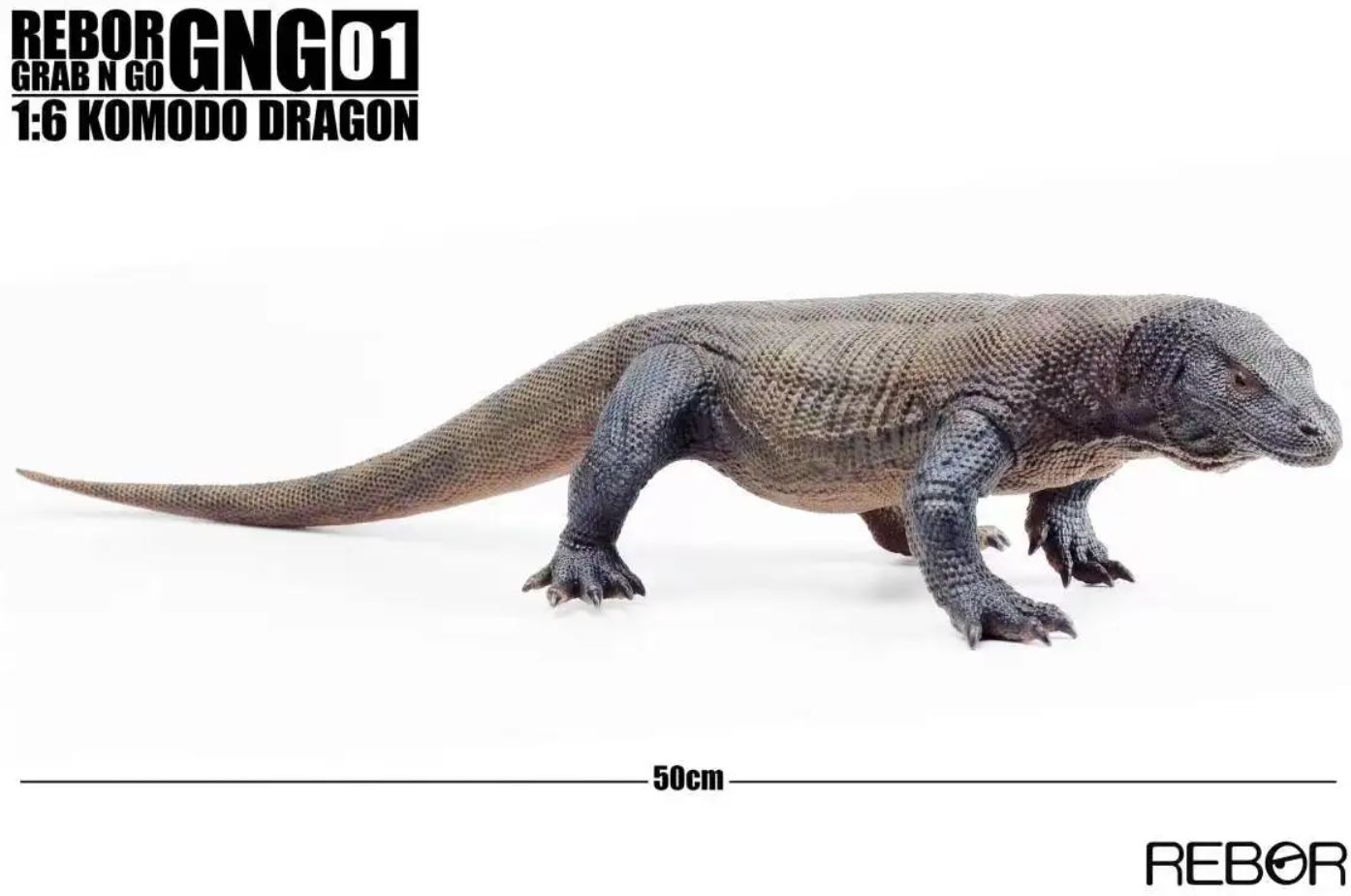REBOR komodo varaan