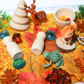 Sensory box herfst rijst