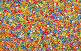 Speelrijst regenboog