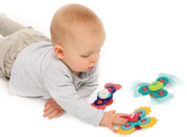 2. My first animals + baby spinners