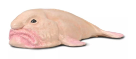 Blobvis CO80037
