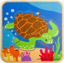 Levenscyclus schildpad