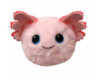 Botsbal TY