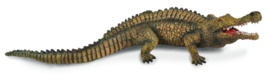 Sarcosuchus CO88334