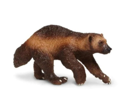 wolverine SA