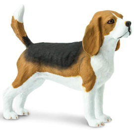 Beagle SA