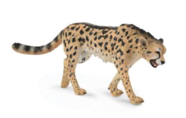 Koning cheetah Collecta 88608