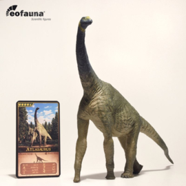 EOfauna Atlasaurus