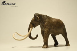 EOfauna Mammut Americanum
