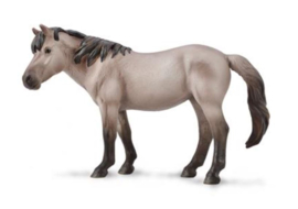 Konik merrie wildkleur CO 88926