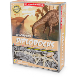 uitgraafset diplodocus