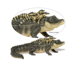 Alligator met baby's XL SA