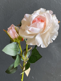 Roos Soft Pink