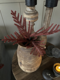 Fine Pine Red 60cm