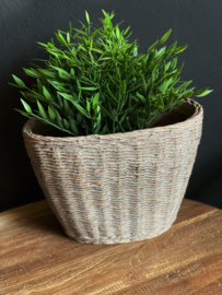Rietlook Plantenpot Ovaal