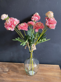 Zinnia Pink