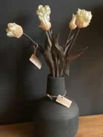 Sobere Tulp Cream