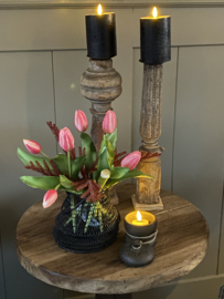 Tulp Eliza Pink Lady