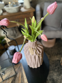 Tulpen roze