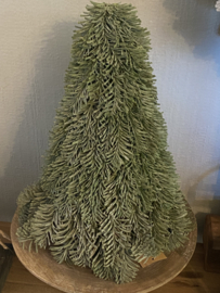 Nobilis boompje