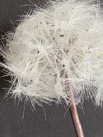 Dandelion kunst