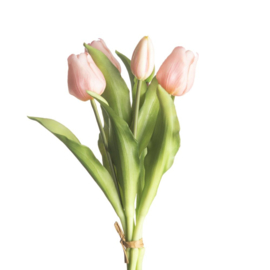 Tulp Roze 5 31cm