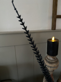 Pluimtak Black