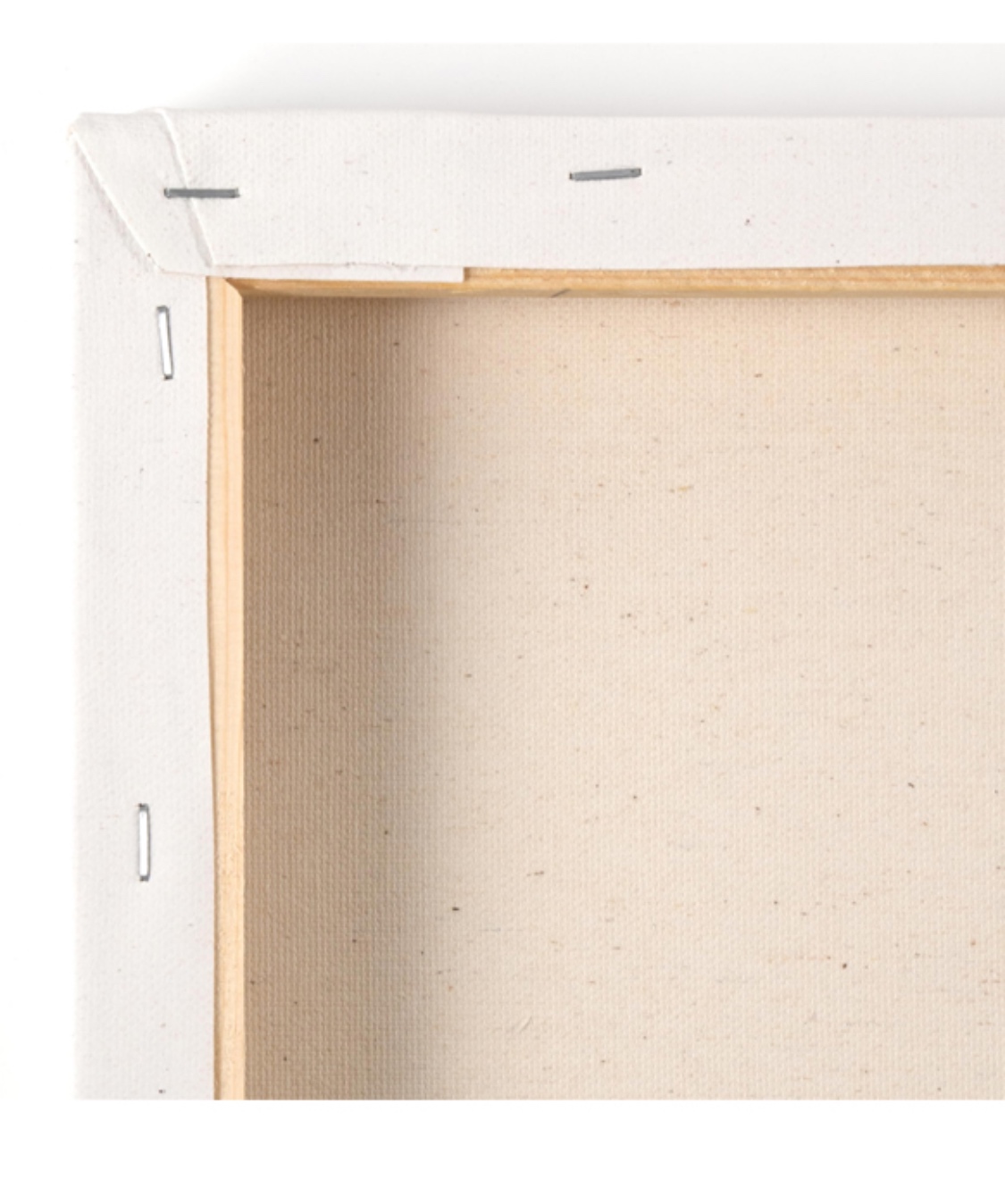 Canvas paneel Pot met Bloesem 30x40