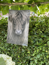 Tuinposter stoere Hooglander Jong